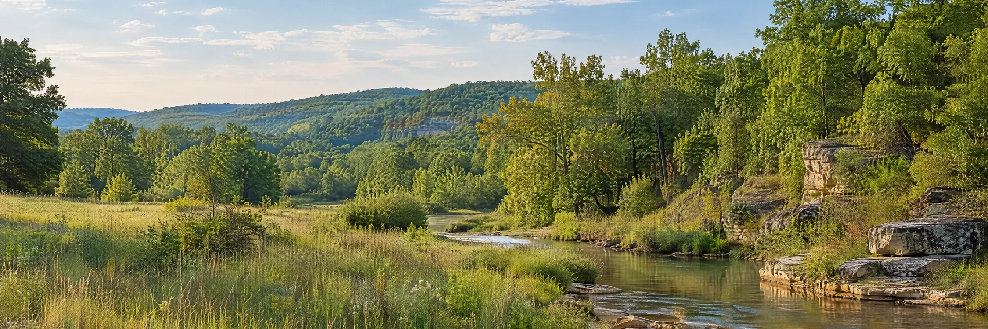 Illustration inspired by Sycamore, OK: northeastern Oklahoma hardwood hills, grassy clearing and quiet creek.