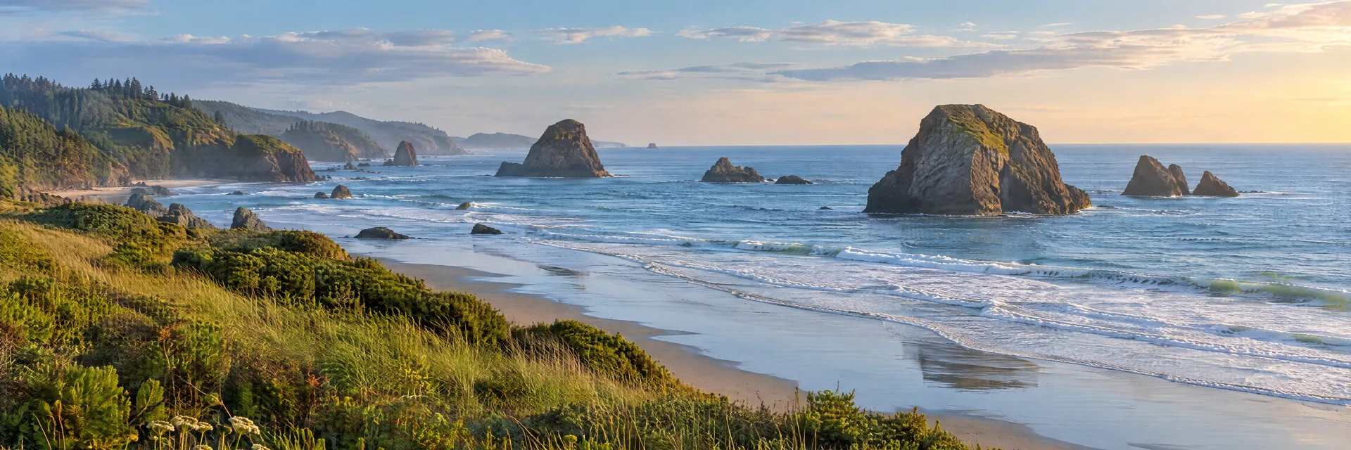 Illustration inspired by Bandon, OR: oregon Pacific beach with offshore rock stacks and grassy coastal bluff.