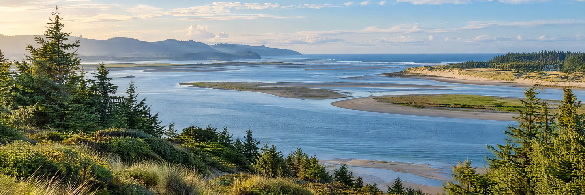 Illustration inspired by Coos Bay, OR: oregon coastal estuary with tidal channels, dunes and evergreen trees.