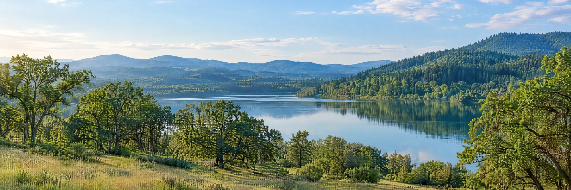 Illustration inspired by Cottage Grove, OR: western Oregon southern Willamette Valley, green meadow, oak groves and calm freshwater lake framed by forested hills.