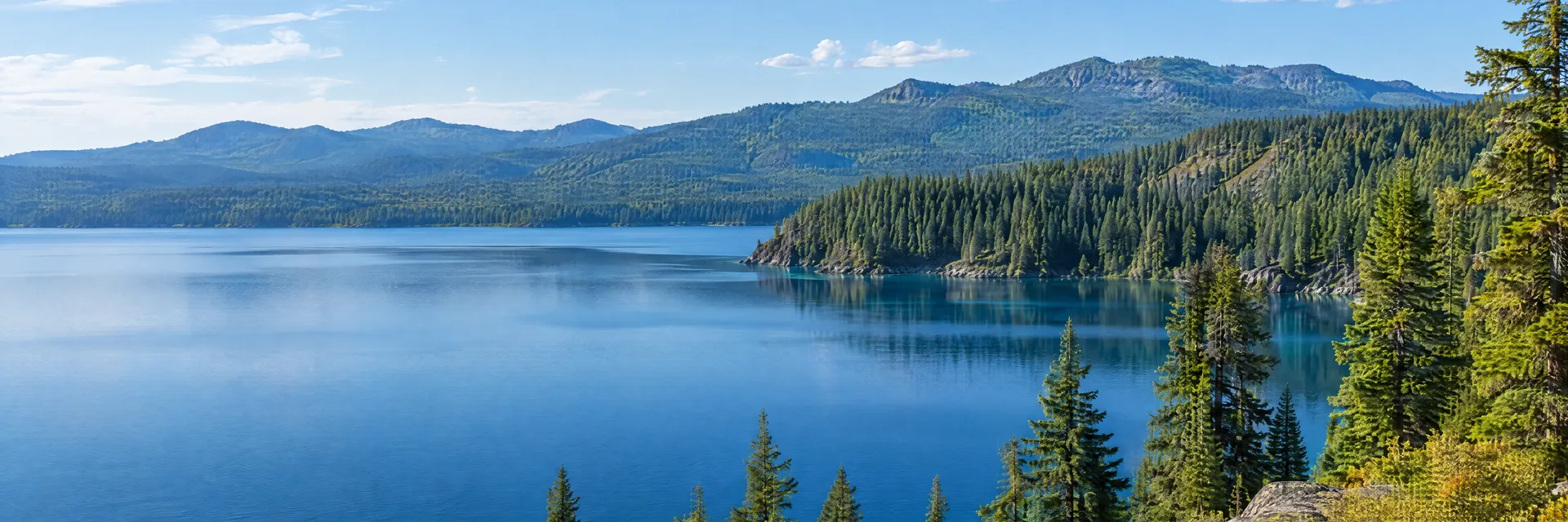 Illustration inspired by Crescent Lake, OR: oregon Cascade clear blue lake, dense conifer woodland and distant forested ridges.