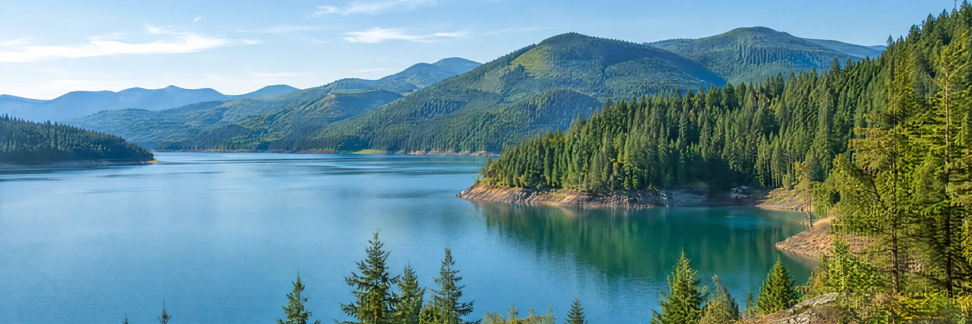 Illustration inspired by Estacada, OR: western Oregon Cascade foothills, clear blue-green reservoir cove, dense Douglas fir forest and rounded wooded mountain slopes.