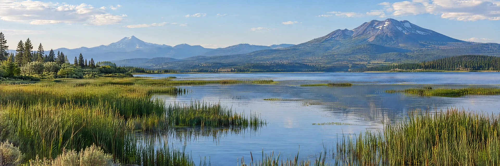 Illustration inspired by Klamath Falls, OR: southern Oregon lake wetland with reeds and distant volcanic mountains.