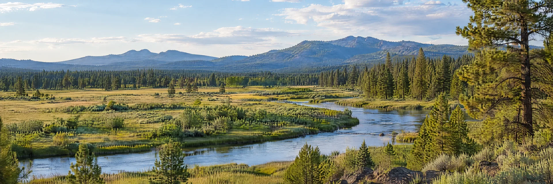 Illustration inspired by La Pine, OR: central Oregon high plateau, ponderosa pine woodland, open grassy river meadow and distant low forested Cascade ridges.