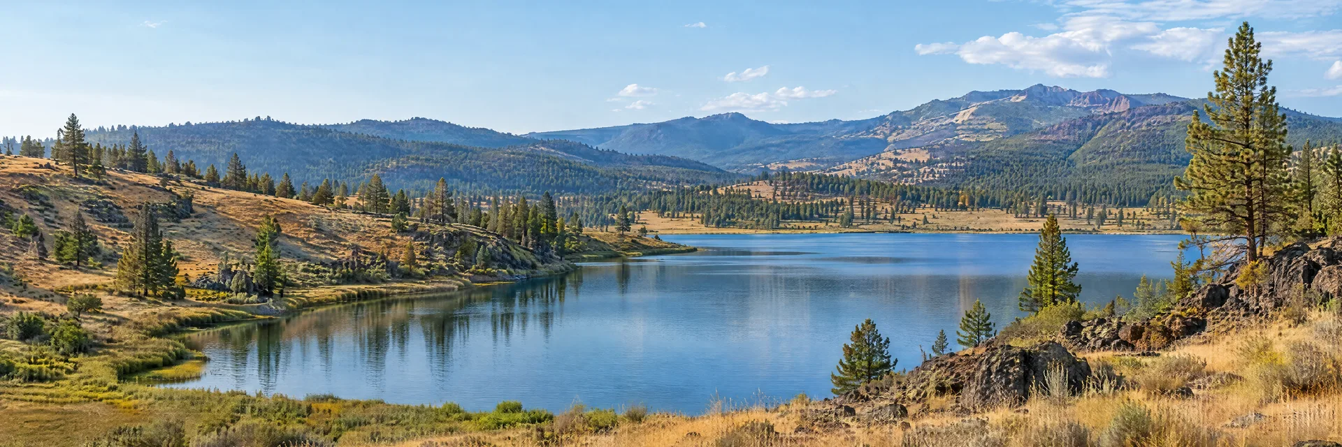 Illustration inspired by Pine Hollow, OR: north central Oregon small lake with dry grassy hills, scattered pines and distant highland ridges.