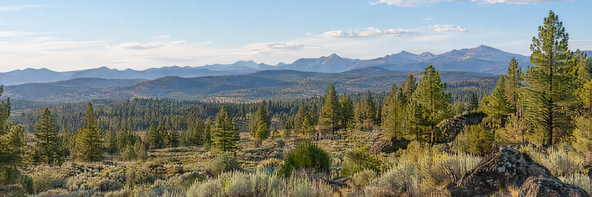 Illustration inspired by Redmond, OR: central Oregon high desert pine woodland, sagebrush and distant non-iconic Cascade ridges.