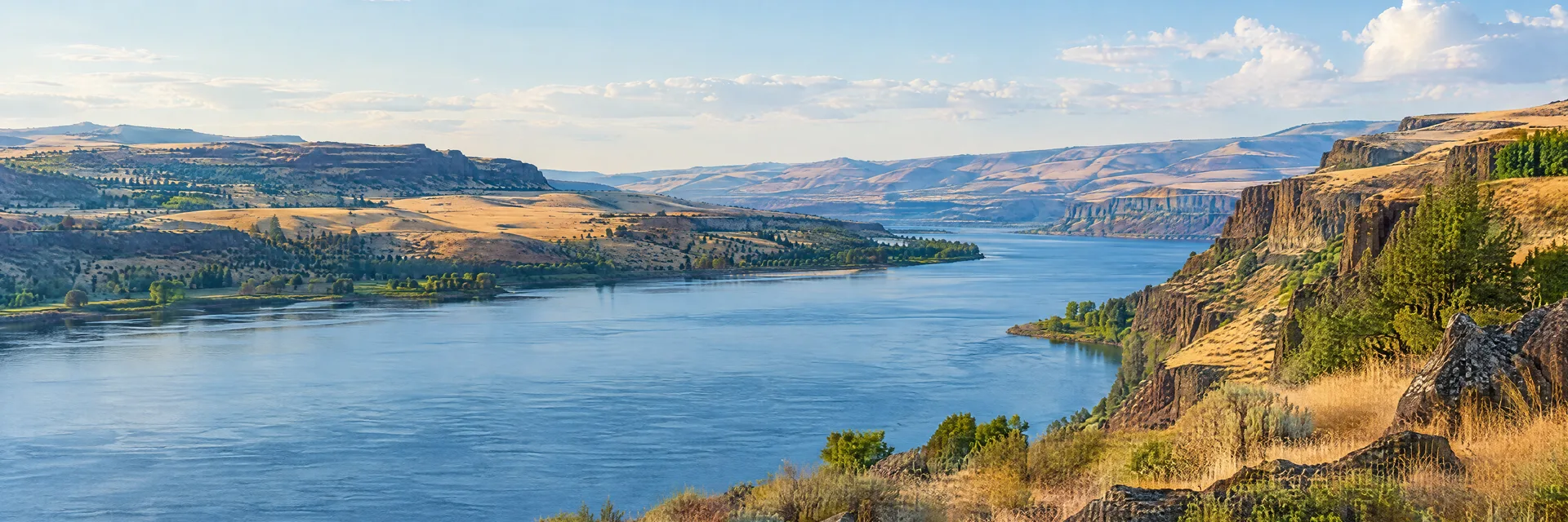 Illustration inspired by The Dalles, OR: columbia River country with broad blue river, dry golden slopes and basalt bluffs.