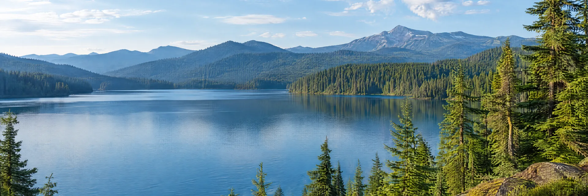Illustration inspired by Timothy Lake, OR: oregon Cascade lake framed by dense conifers and distant forested mountain ridges.