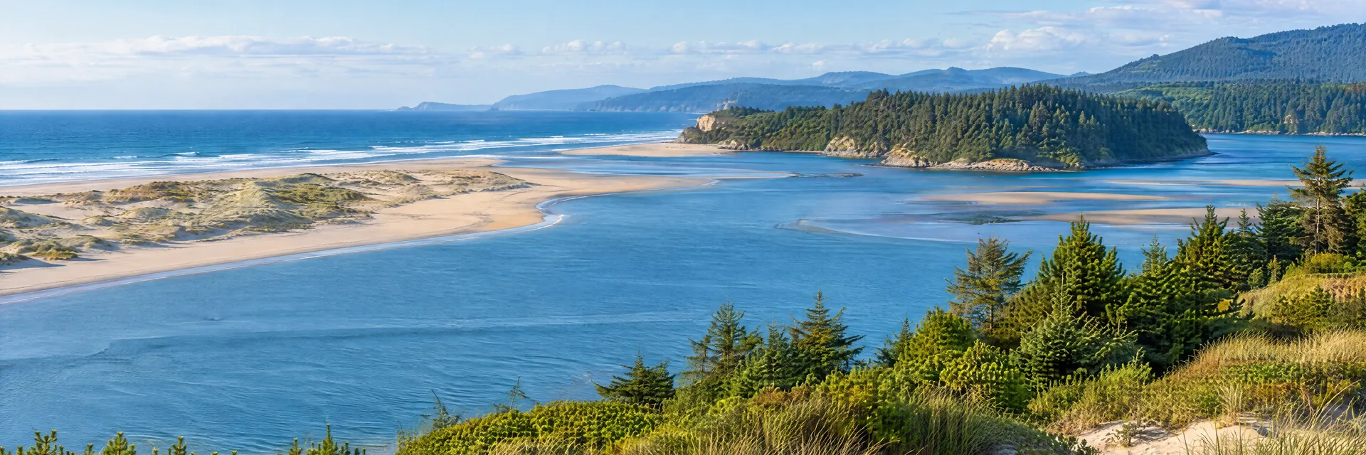 Illustration inspired by Winchester Bay, OR: oregon coastal estuary, sandy dunes, evergreen forest and blue Pacific inlet.