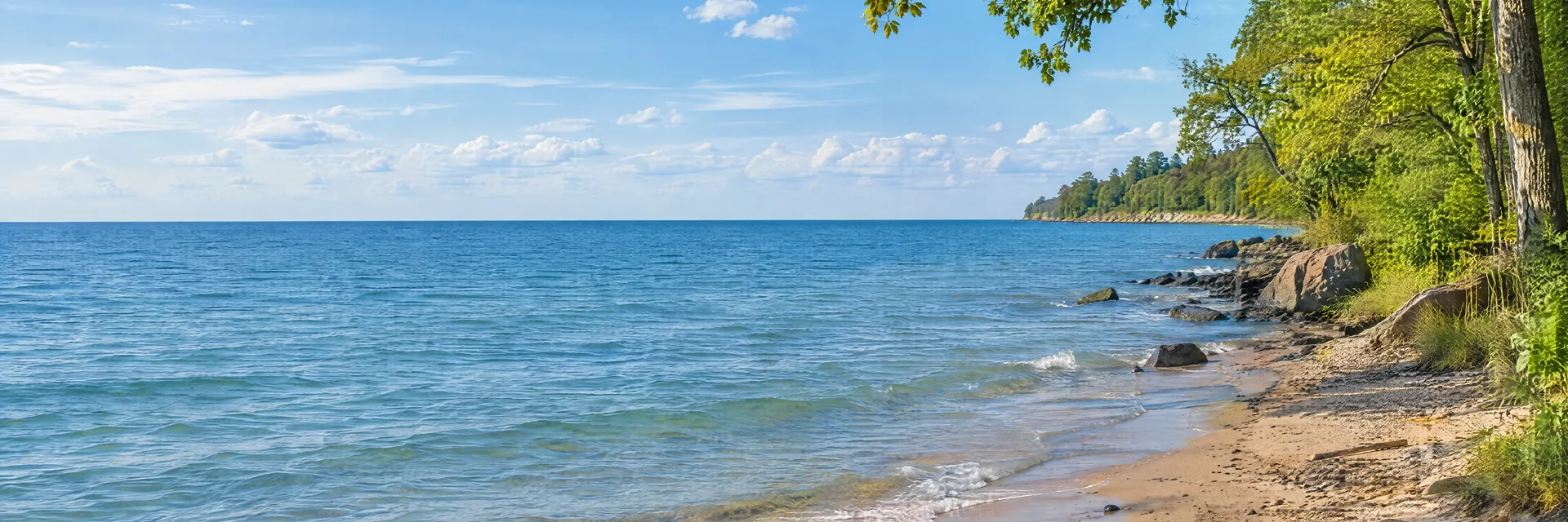 Illustration inspired by Erie, PA: lake Erie sandy shoreline, leafy hardwood trees and broad blue freshwater horizon.