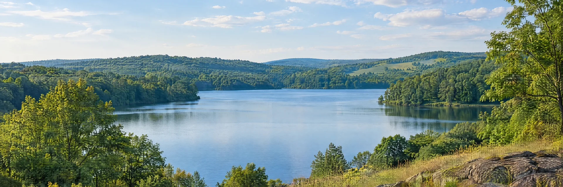 Illustration inspired by Green Lane, PA: southeastern Pennsylvania reservoir country, quiet blue lake, mature deciduous woodland and softly rolling grassy hills.
