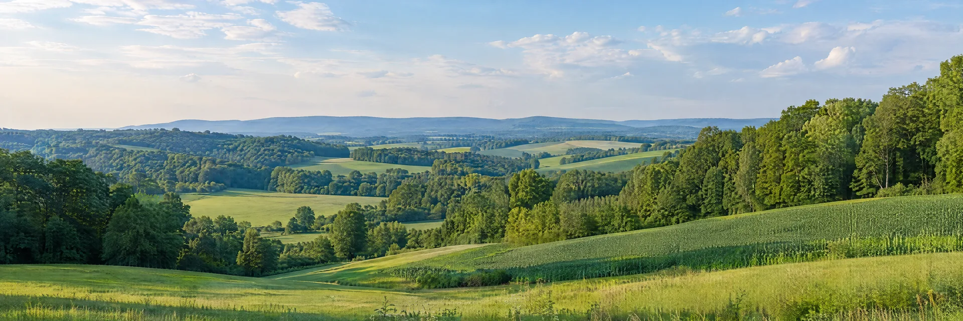 Illustration inspired by Lancaster, PA: pennsylvania rolling farmland, hardwood groves and green meadows without historic structures.
