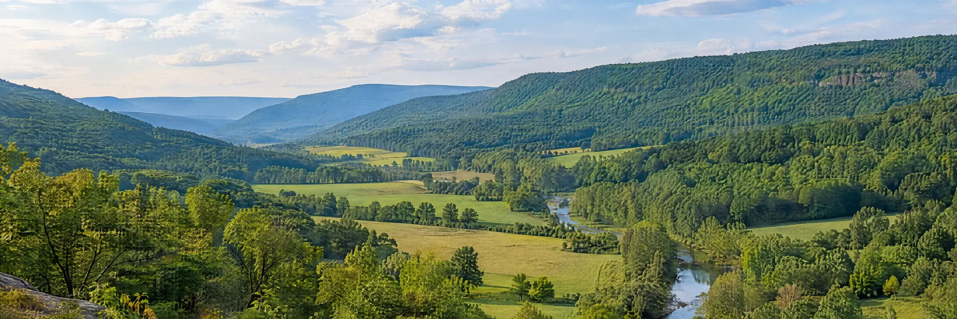 Illustration inspired by Milroy, PA: central Pennsylvania ridge-and-valley country, long green forested ridges above a pastoral valley and a leafy creek.
