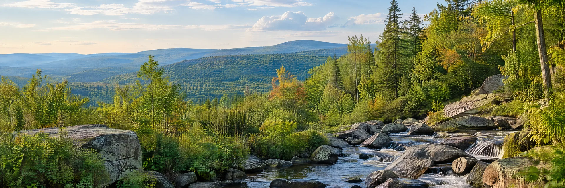Illustration inspired by Mount Pocono, PA: pennsylvania Pocono forest plateau, rocky creek and mixed hardwood forest.
