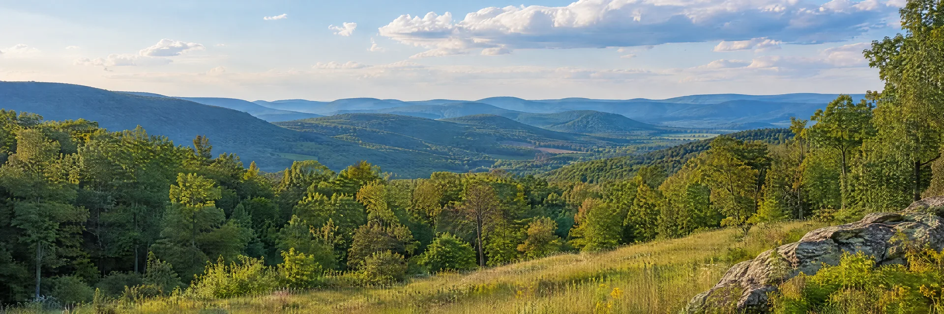 Illustration inspired by SOMERSET, PA: pennsylvania Laurel Highlands rolling hills, hardwood forest and grassy meadow.