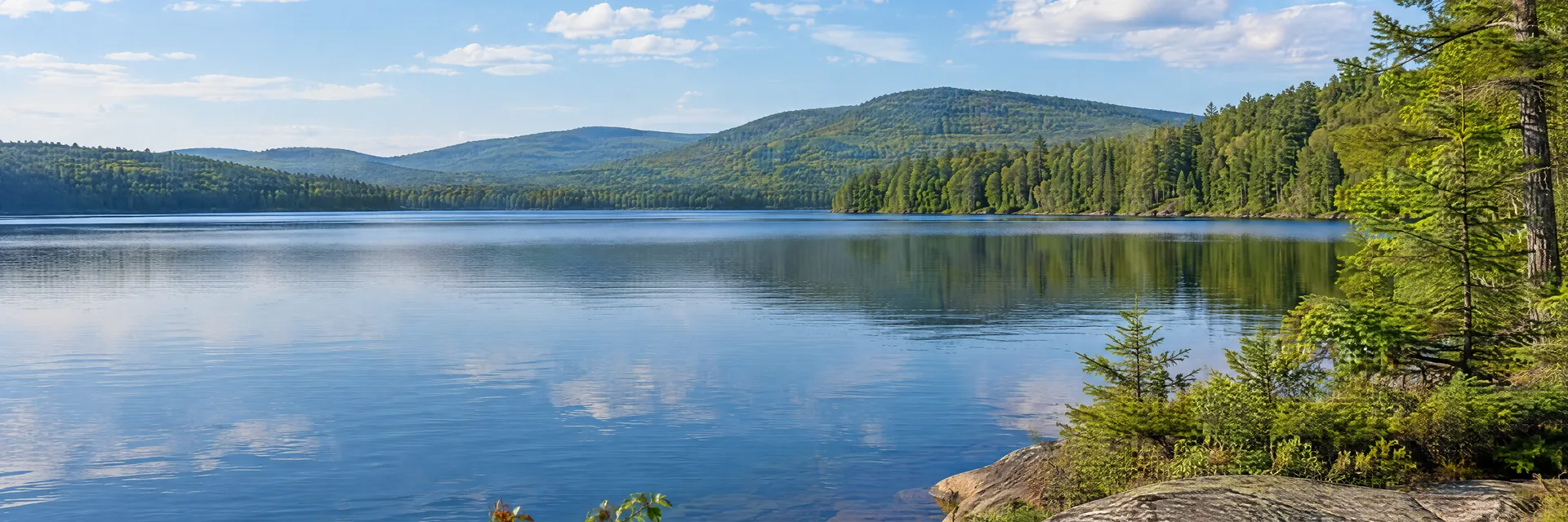 Illustration inspired by Tobyhanna, PA: northeastern Pennsylvania Pocono region, quiet freshwater lake, mixed hemlock and hardwood woodland and low rounded hills.