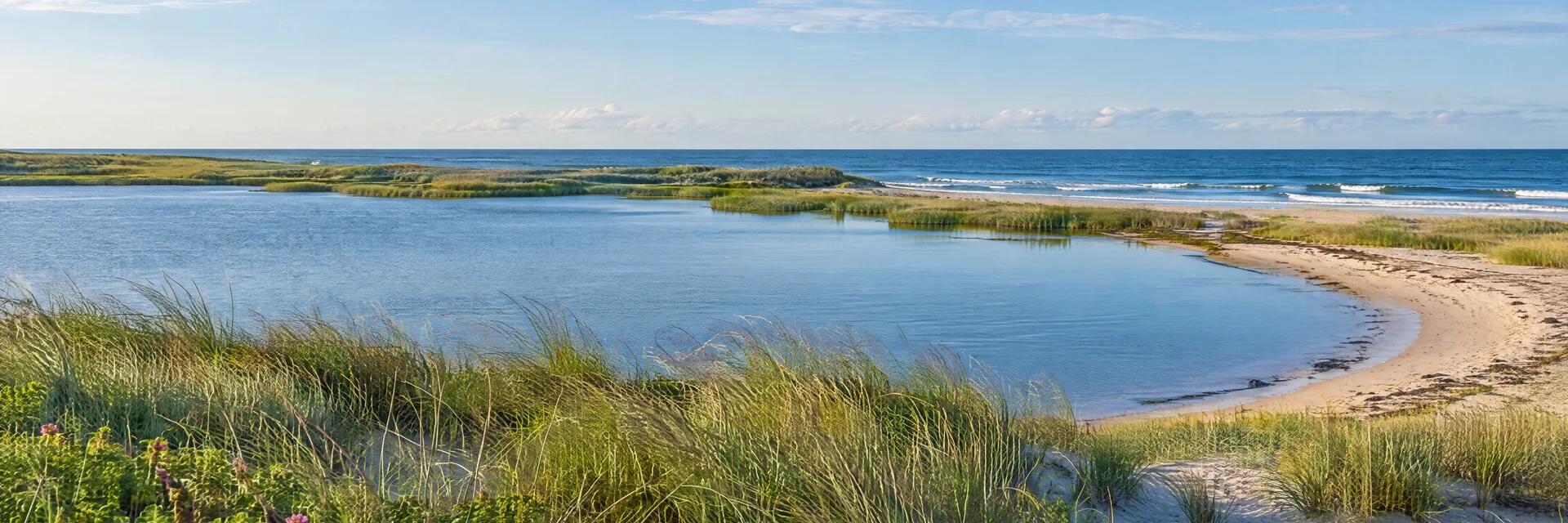 Illustration inspired by Charlestown, RI: rhode Island coastal salt pond, dune grass, sandy shore and Atlantic horizon.
