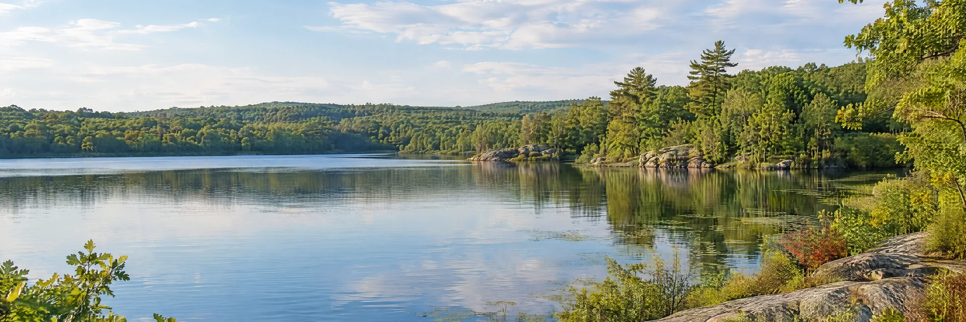 Illustration inspired by Hope Valley, RI: southern Rhode Island freshwater pond with hardwood woodland and gentle rolling terrain.