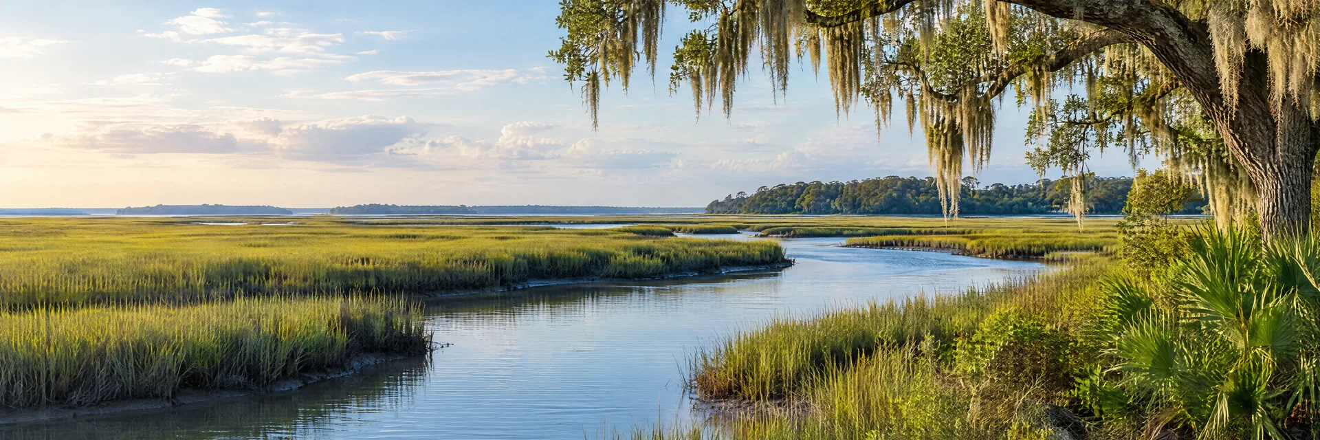 Illustration inspired by Beaufort, SC: south Carolina Lowcountry salt marsh, tidal creek and live oaks with Spanish moss.