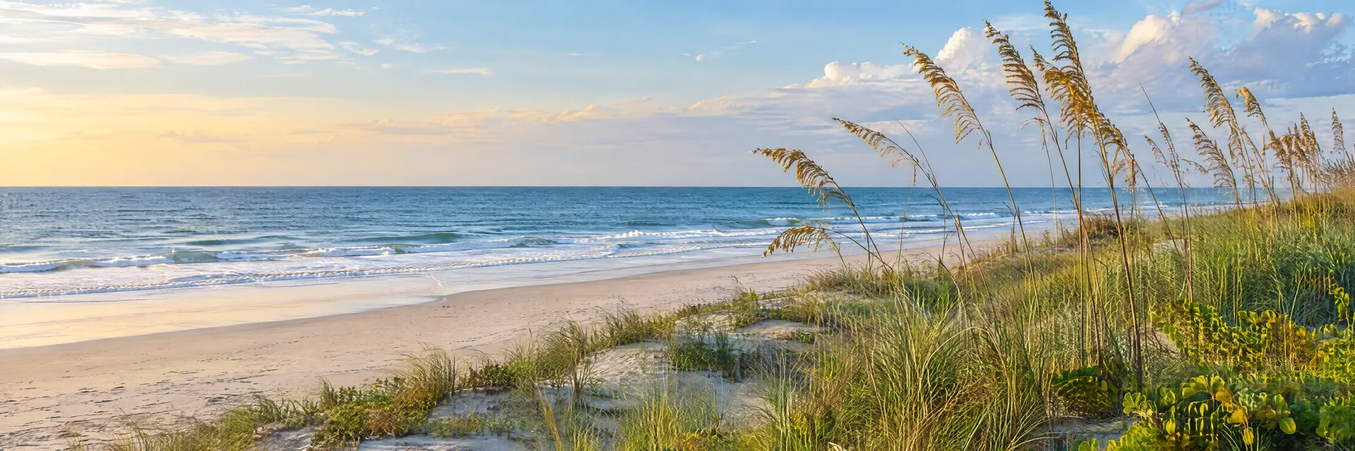 Illustration inspired by North Myrtle Beach, SC: south Carolina broad Atlantic sandy beach, sea oats and low maritime vegetation.