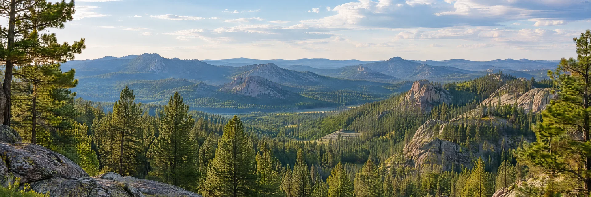 Illustration inspired by Hill City, SD: black Hills ponderosa pine forest and granite ridges.
