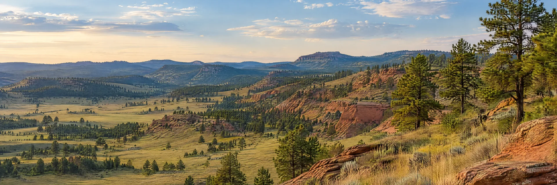 Illustration inspired by Hot Springs, SD: southern Black Hills grassland, red-brown sandstone slopes and scattered ponderosa pine.