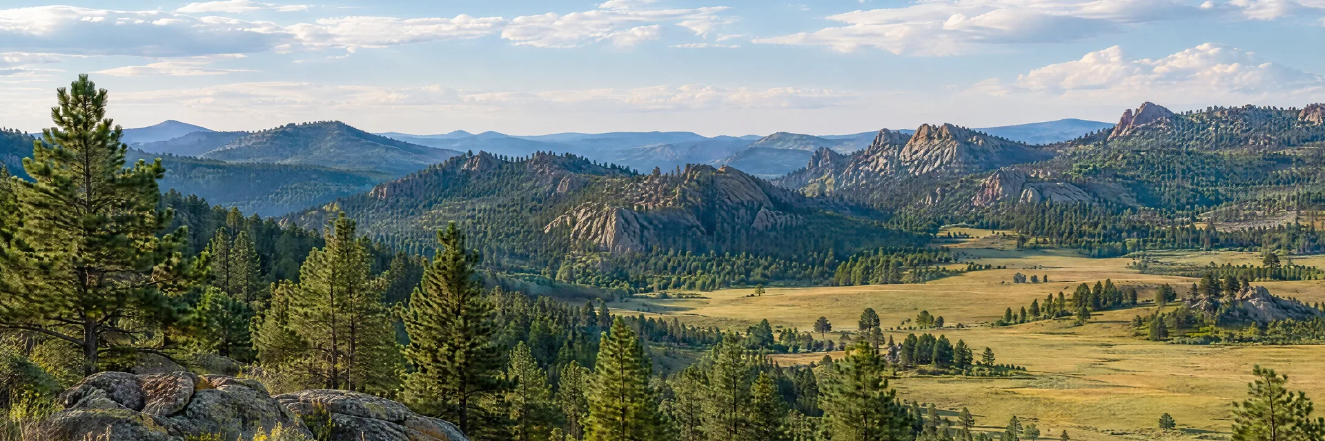 Illustration inspired by Rapid City, SD: black Hills pine forest and rocky ridges beside open prairie.