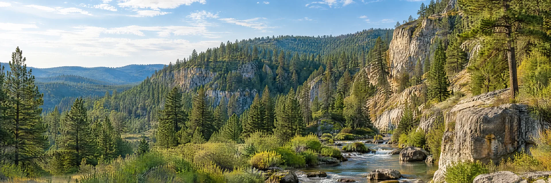 Illustration inspired by Spearfish, SD: south Dakota Black Hills pine-covered canyon slopes, limestone outcrops and a clear creek.