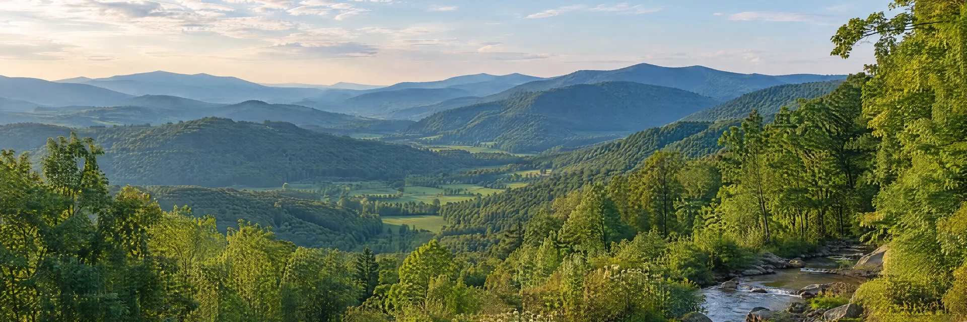 Illustration inspired by Johnson City, TN: northeast Tennessee layered Appalachian ridges with green valley and wooded creek.