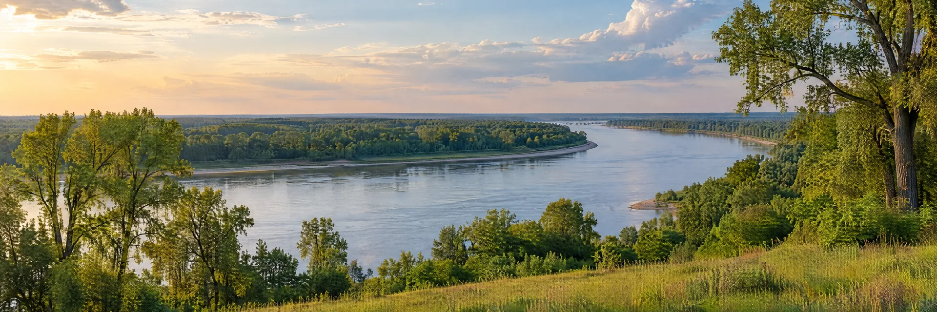 Illustration inspired by Memphis, TN: tennessee Mississippi River countryside, broad river bend, cottonwood trees and open grassy banks.