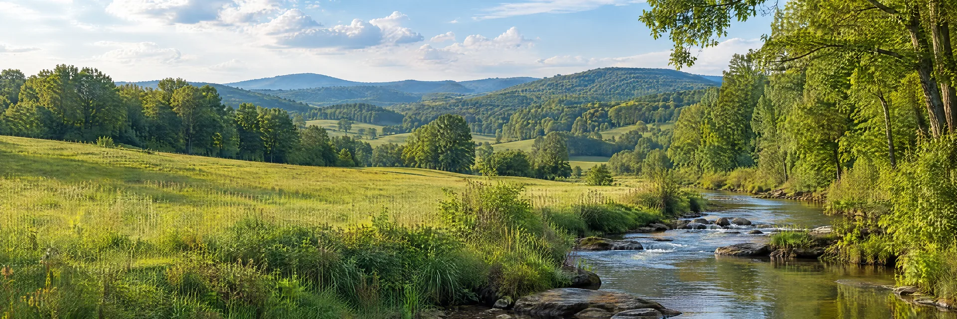 Illustration inspired by Powell, TN: eastern Tennessee valley country, gently rolling green meadow, leafy hardwood trees and a quiet freshwater creek.