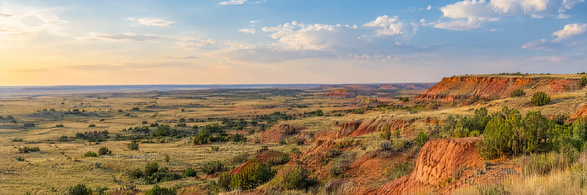 Illustration inspired by Amarillo, TX: texas Panhandle open prairie, tawny grassland and broad sky, gently eroded red-earth terrain.