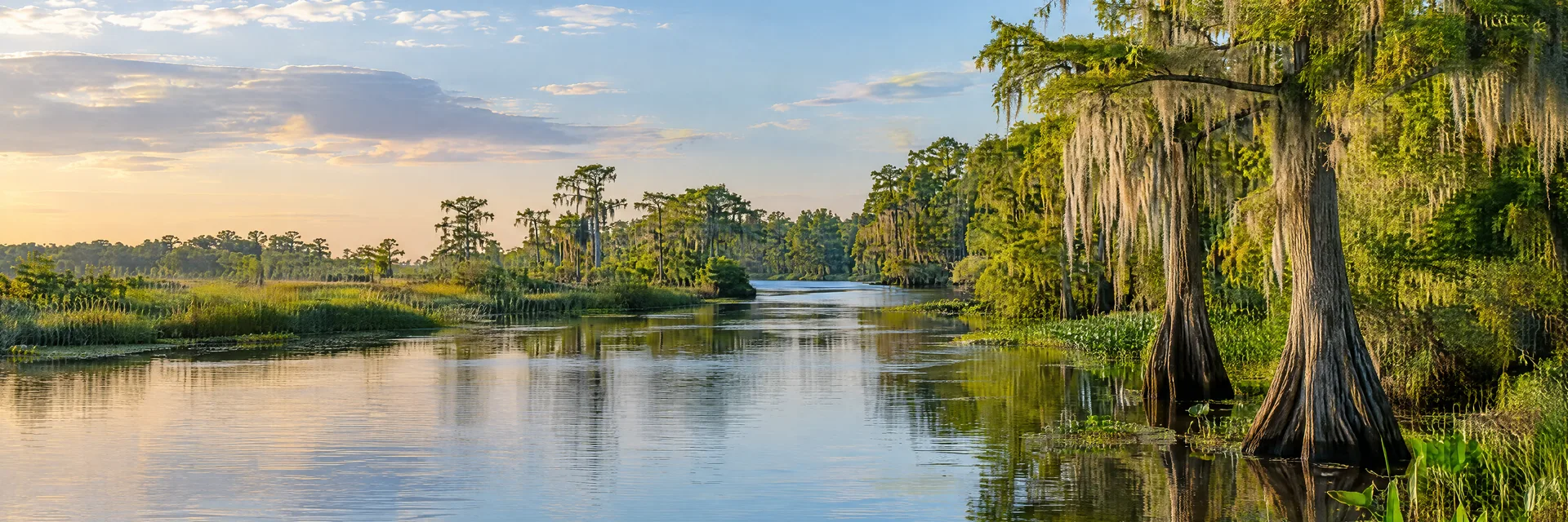 Illustration inspired by Beaumont, TX: southeast Texas cypress wetland, slow bayou and leafy woodland.