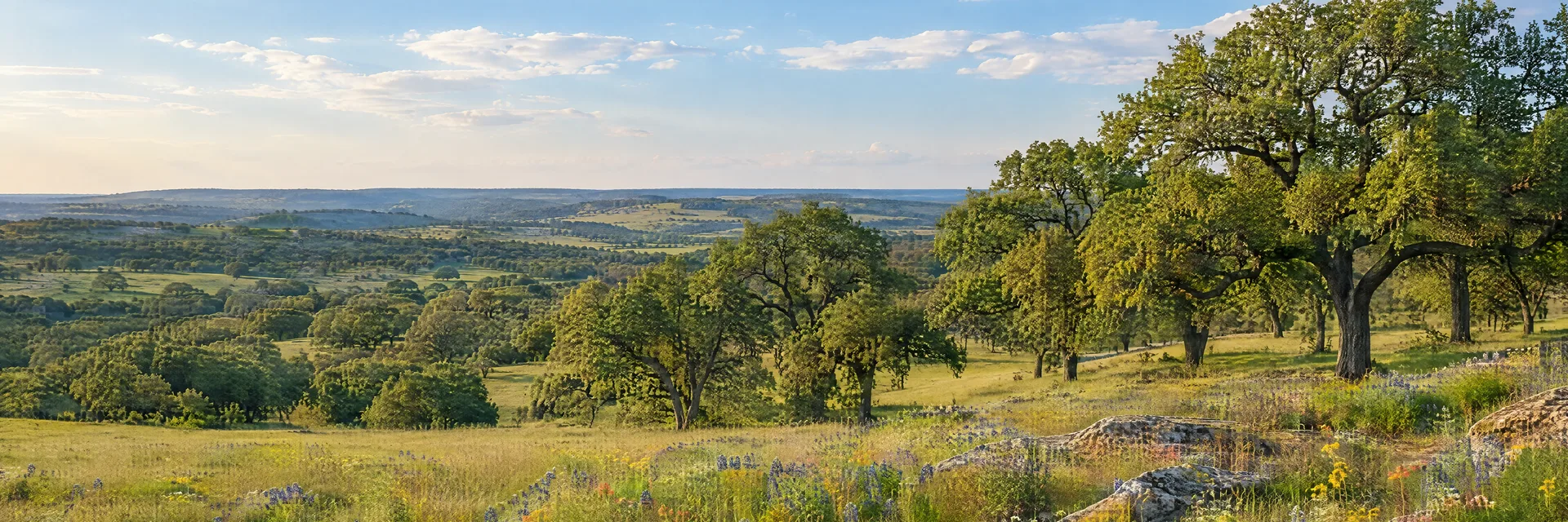 Illustration inspired by Brenham, TX: central Texas rolling prairie with oak groves, scattered spring wildflowers and open rural views.