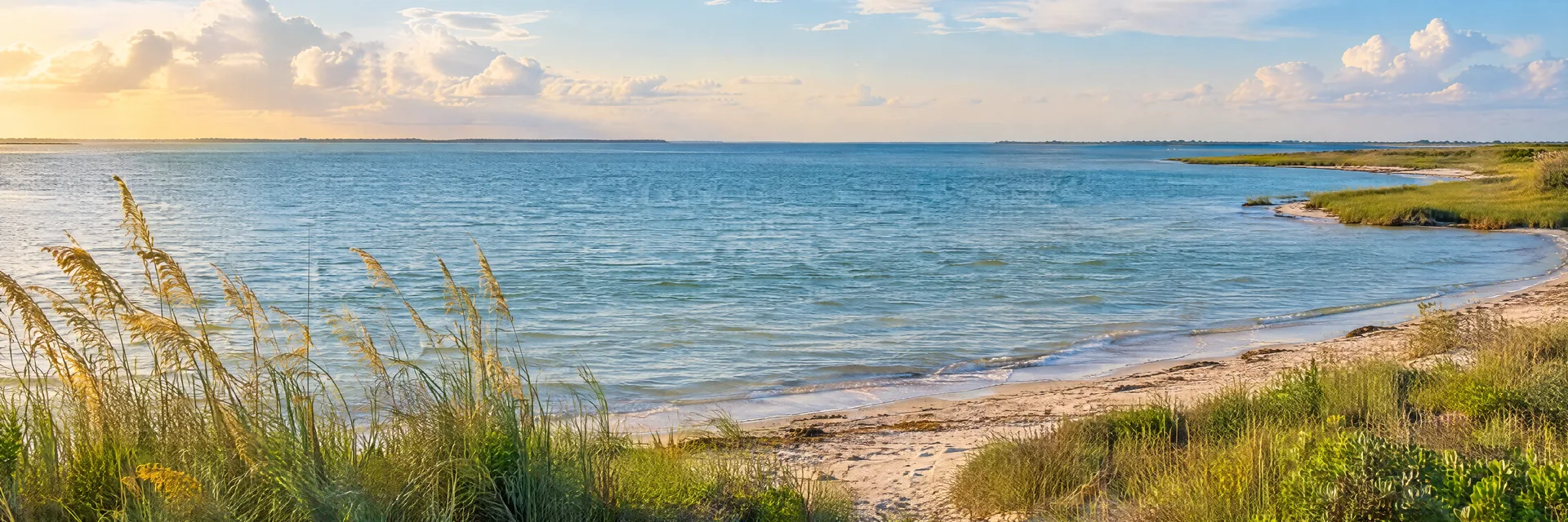 Illustration inspired by Corpus Christi, TX: wide Texas coastal bay with coastal grasses and sandy shoreline.
