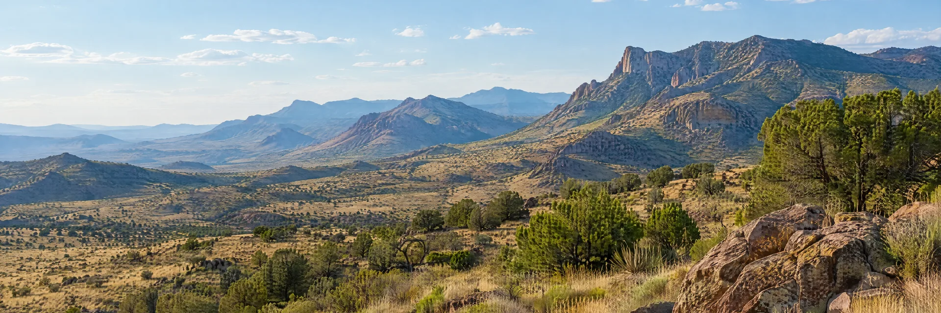 Illustration inspired by Fort Davis, TX: west Texas Davis Mountains region, open high-desert grassland, rocky mountain slopes and scattered juniper without a named landmark.