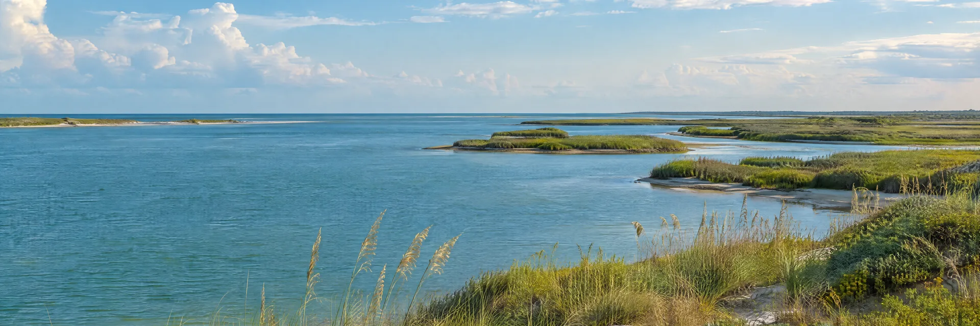 Illustration inspired by Freeport, TX: texas Gulf coastal plain, broad blue-green tidal inlet, low sandy dunes and salt marsh grasses.