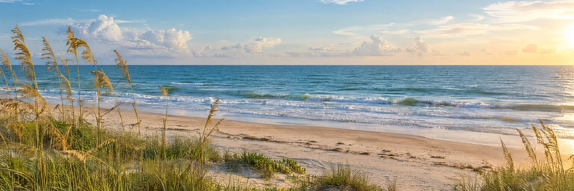 Illustration inspired by Galveston, TX: texas Gulf beach with warm sand, sea oats and gentle surf.