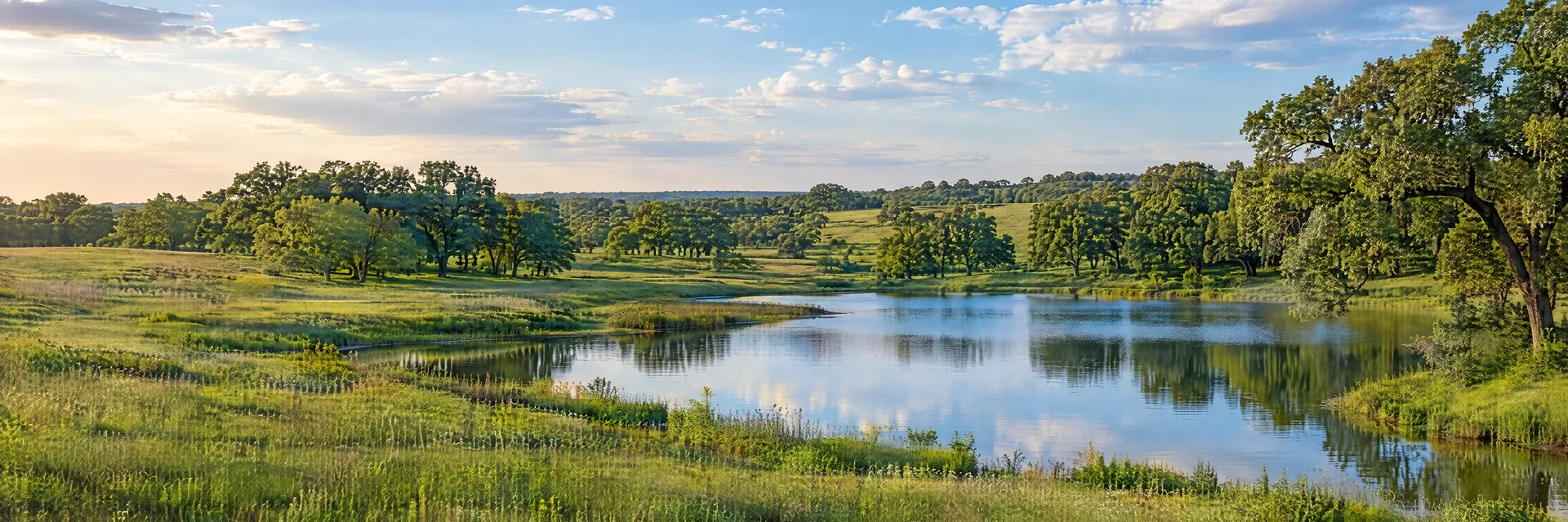 Illustration inspired by Greenville, TX: northeastern Texas prairie country, gently rolling green meadow, mature post oak groves and a quiet freshwater pond.