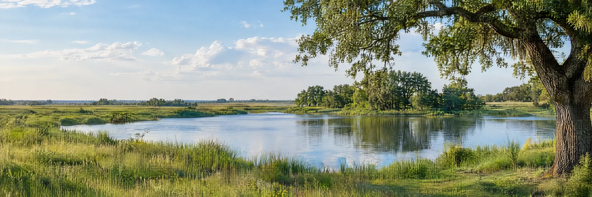 Illustration inspired by Katy, TX: southeastern Texas coastal prairie, flat grasslands, live oak shade and a quiet freshwater pond.