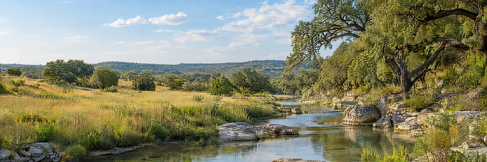 Illustration inspired by Liberty Hill, TX: texas Hill Country limestone creek, live oak groves and open grassy meadow.