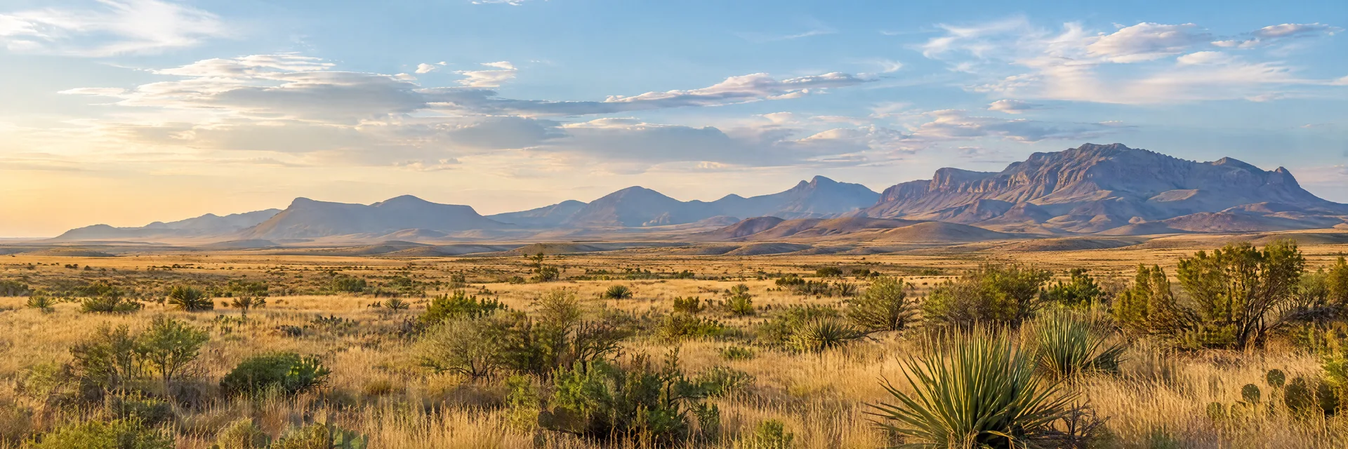 Illustration inspired by Marfa, TX: west Texas high desert, sweeping golden grassland, sparse shrubs and distant rugged mountain silhouettes under a spacious sky.