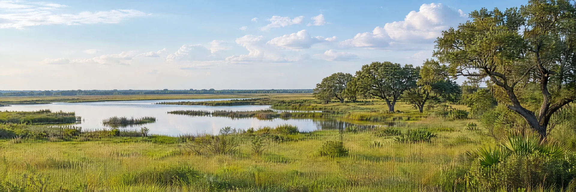 Illustration inspired by Mont Belvieu, TX: upper Texas Coast broad flat prairie, scattered live oaks and a quiet wetland fringe.