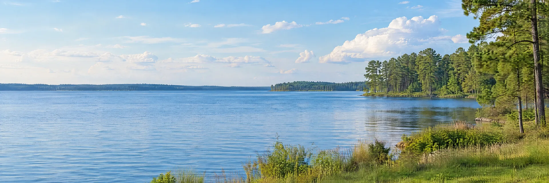 Illustration inspired by Montgomery, TX: lake Conroe-inspired blue water with pine woods and flat green shore.