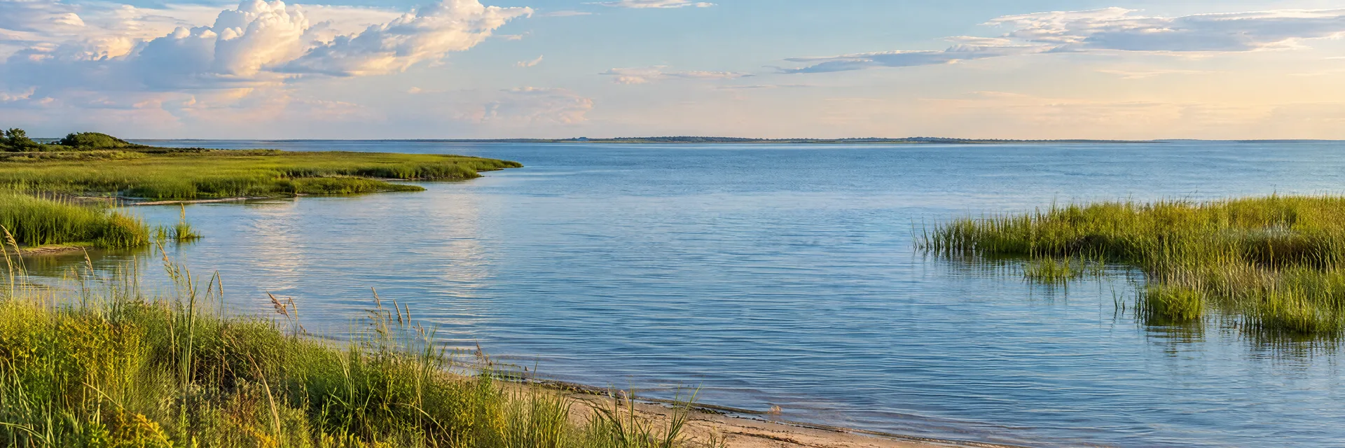 Illustration inspired by Port Lavaca, TX: texas coastal bay with salt marsh, sandy edge and calm water.
