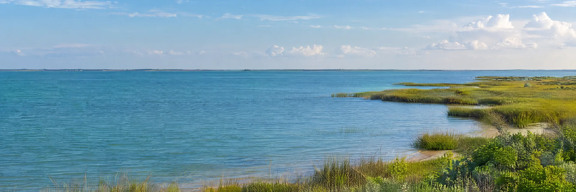 Illustration inspired by Portland, TX: texas Corpus Christi Bay region, broad blue-green coastal bay, low grassy shoreline and salt marsh beneath an open sky.