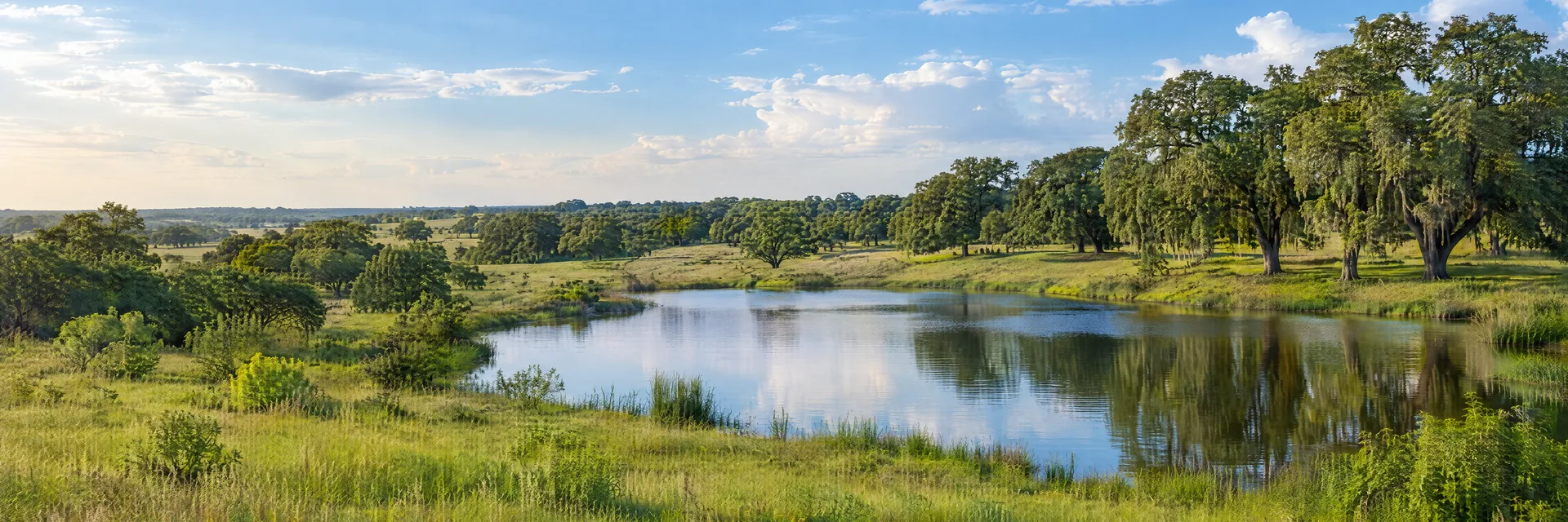 Illustration inspired by Prairie View, TX: southeastern Texas prairie country, rolling green meadow, live oak groves and a quiet freshwater pond.