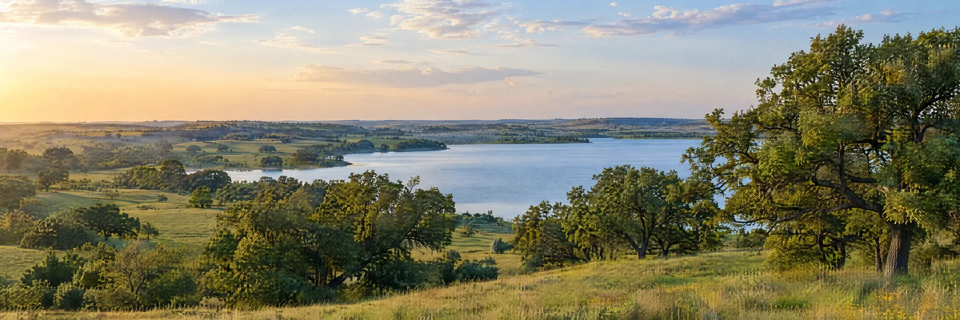 Illustration inspired by Royse City, TX: northeastern Texas prairie country, gently rolling grassland, scattered post oak groves and a calm freshwater lake.