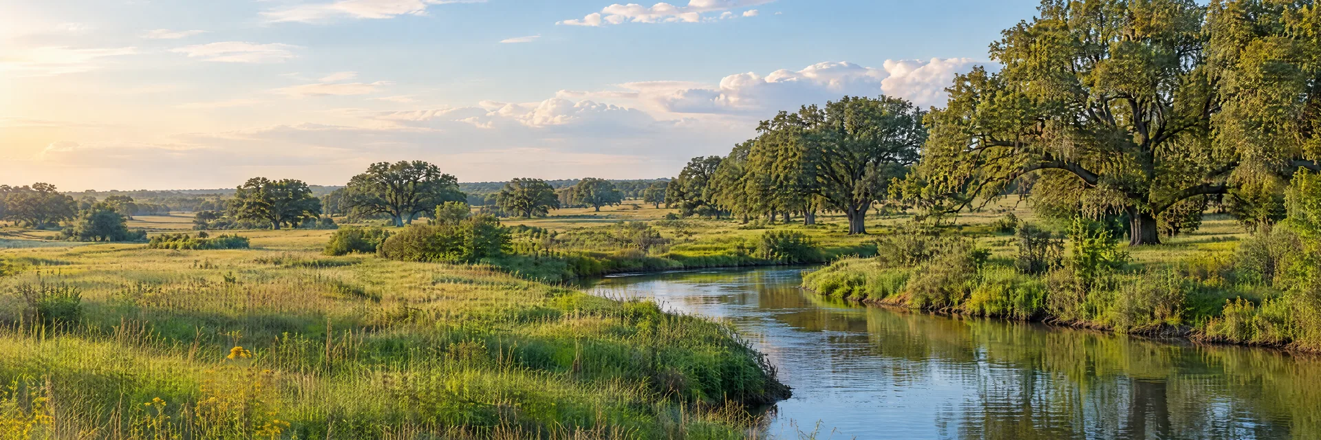 Illustration inspired by Sealy, TX: southeast Texas rolling coastal prairie with broad oak groves and a gently winding freshwater creek.
