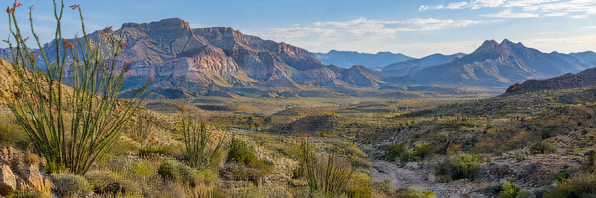 Illustration inspired by Terlingua, TX: chihuahuan desert with rugged layered mountains, ocotillo and dry washes.